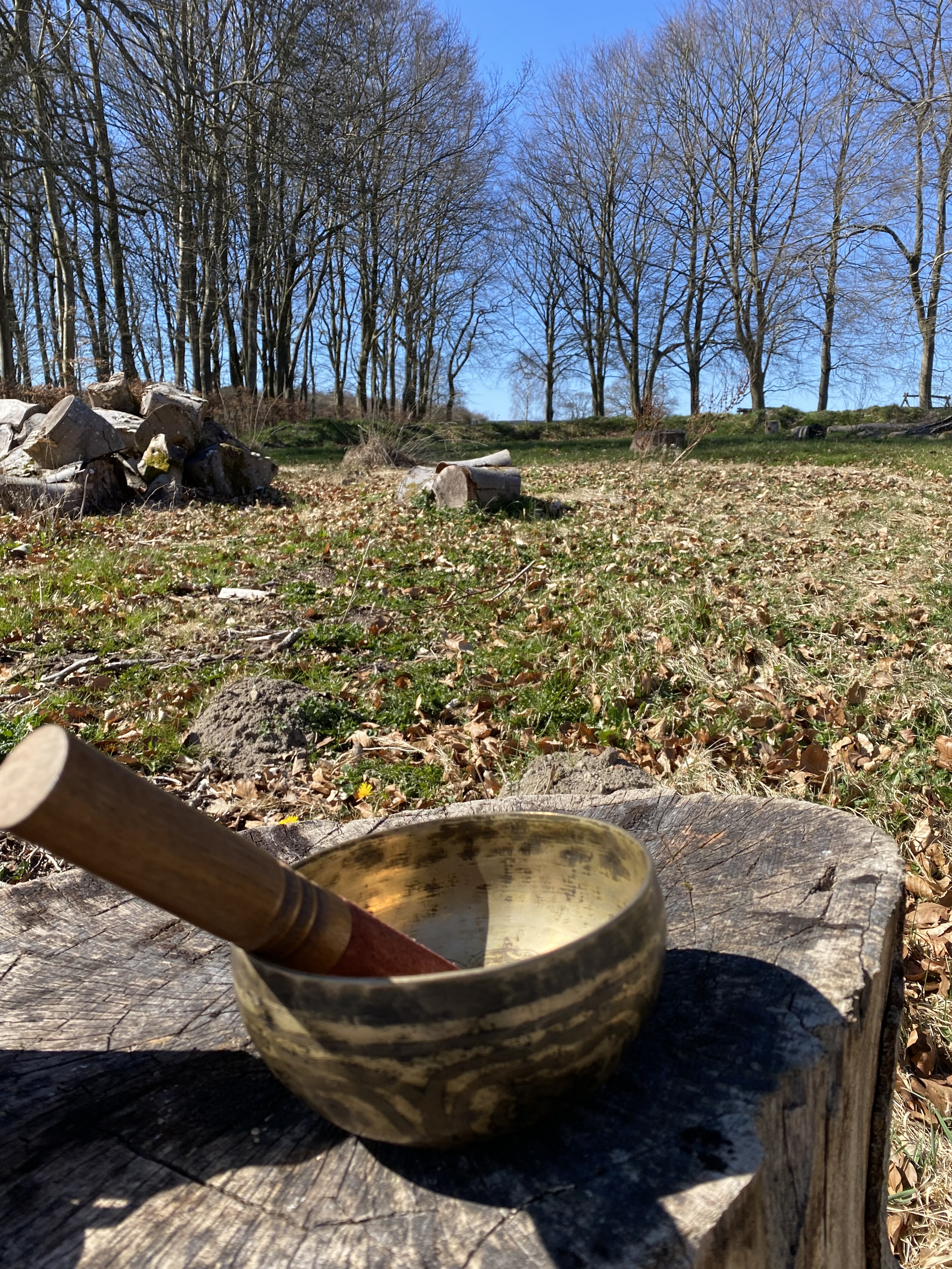 Naturbillede 2